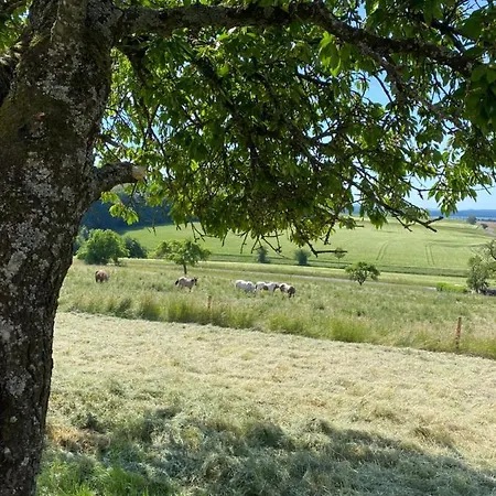 An Der Walnuss 公寓 Feilsdorf