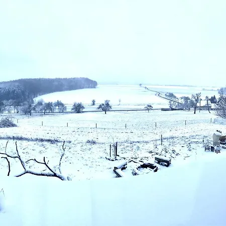 An Der Walnuss