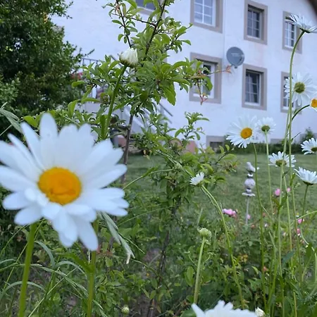 Apartmán An Der Walnuss