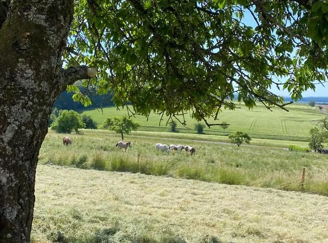 An Der Walnuss דירה Feilsdorf