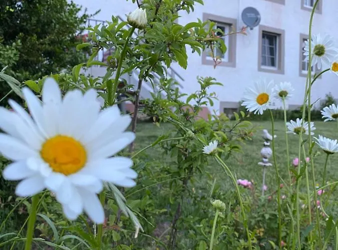 דירה An Der Walnuss